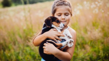 Çocuk ve Hayvan Sevgisi